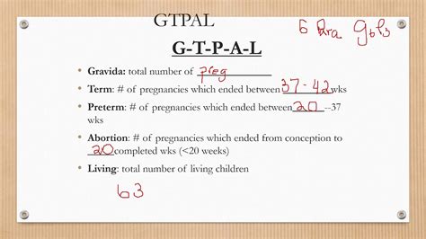 gtpal calculator